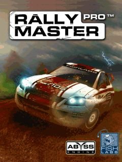 game pic for Rally master pro